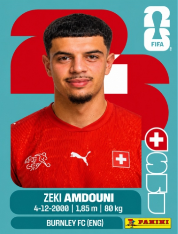 ZEKI AMDOUNI