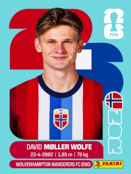 DAVID MOLLER WOLFE